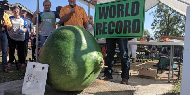 World, State Records Set at Allardt Pumpkin Festival