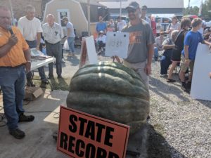 Jason Terry, of Oneida, set the Tennessee State Record for the largest green squash at 1,089 lbs (Photo: Logan Weaver)