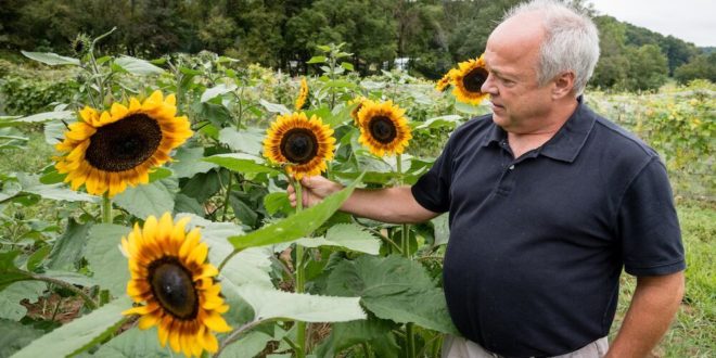 Kentucky Seed Bank Moving Operations to Livingston