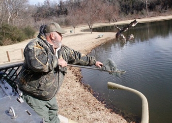 TWRA Introduces Winter Trout to Local Fisheries