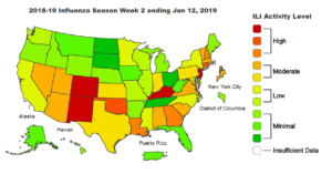 Influenza-like illness cases through Jan. 12, 2019 (Source: Center for Disease Control)
