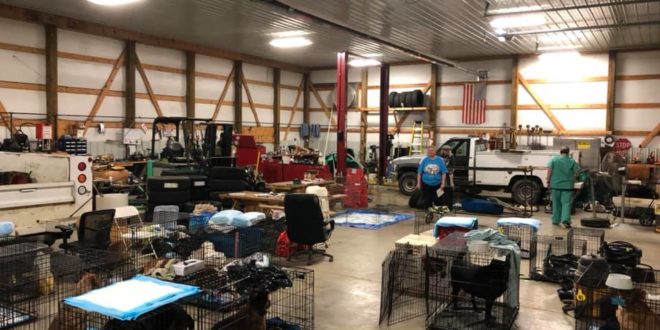 Putnam DART Helps Clay County Animals During Flooding