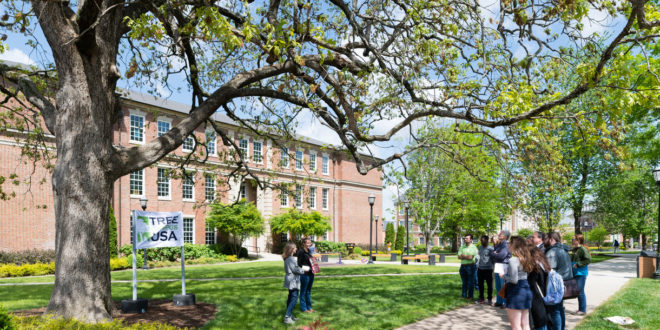 TN Tech Uses Designation to Maintain Campus Trees