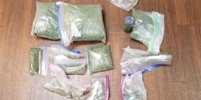 Three Pounds of Marijuana Found During Algood Vehicle Search