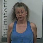 Sara Jane Pemberton faces charges after leading Cookeville Police on a low-speed chase Tuesday morning. (Photo: Putnam County Jail)