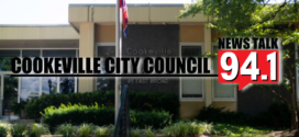 Council Concerned About Utility Work Citywide