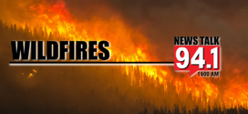 Expert: Could Be Above Average Wildfire Season